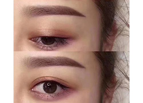 塘厦学绣眉
